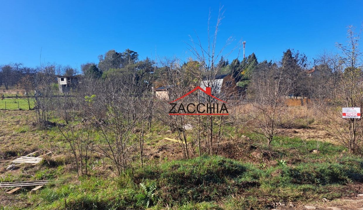 inmobiliaria-zacchia-bienes-raices