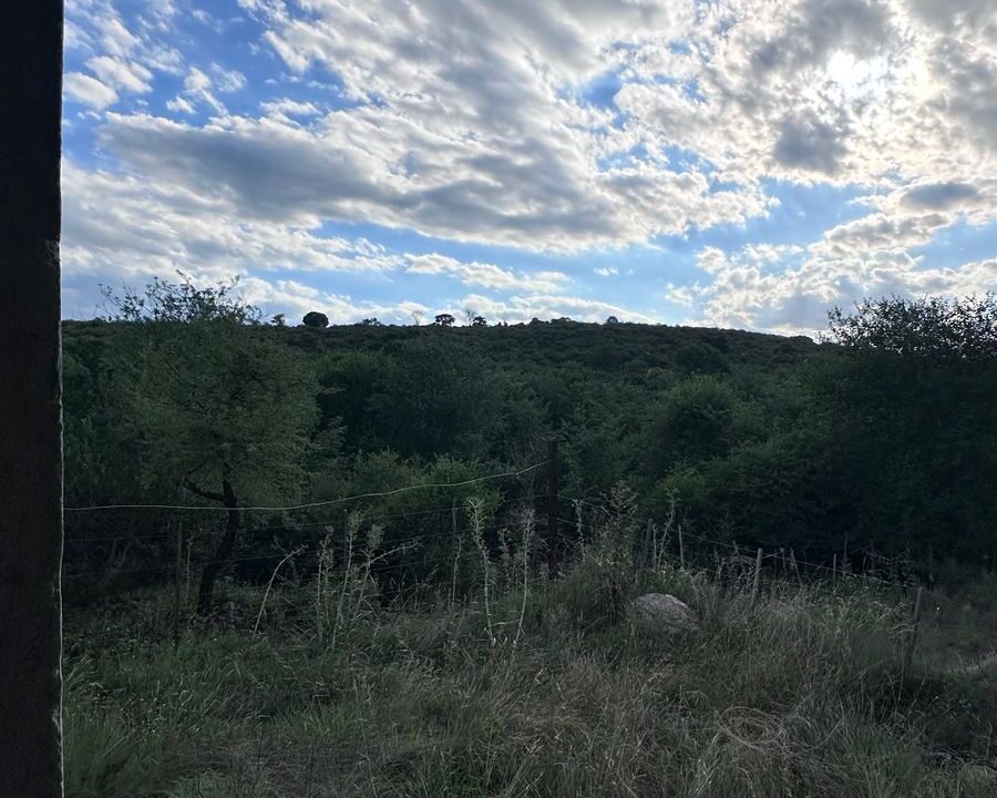 WhatsApp Image 2025-12-18 at 10.47.15