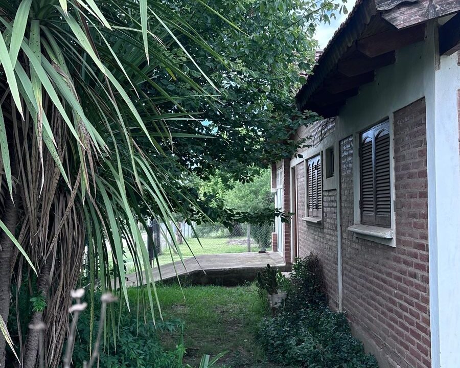 WhatsApp Image 2026-01-06 at 13.56.03