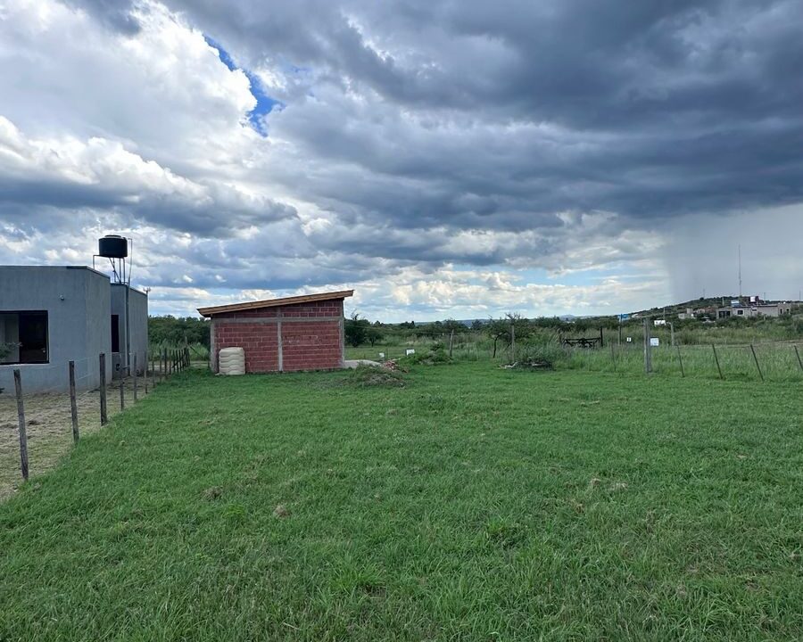 WhatsApp Image 2026-02-04 at 13.54.49 (2)