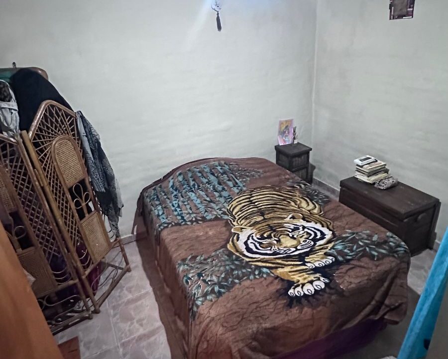 WhatsApp Image 2026-02-13 at 11.50.57